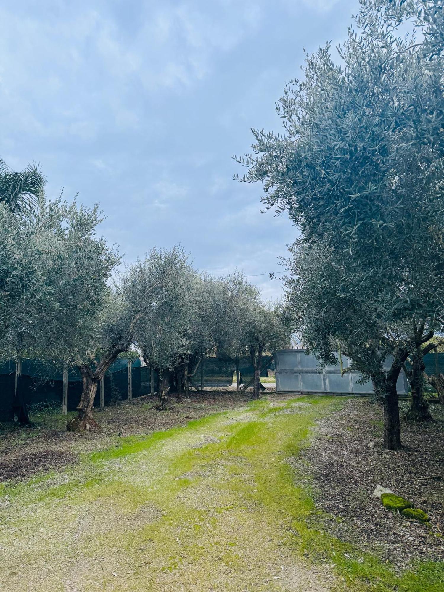 La Perla Di Dea Βίλα Lido Di Fondi Εξωτερικό φωτογραφία