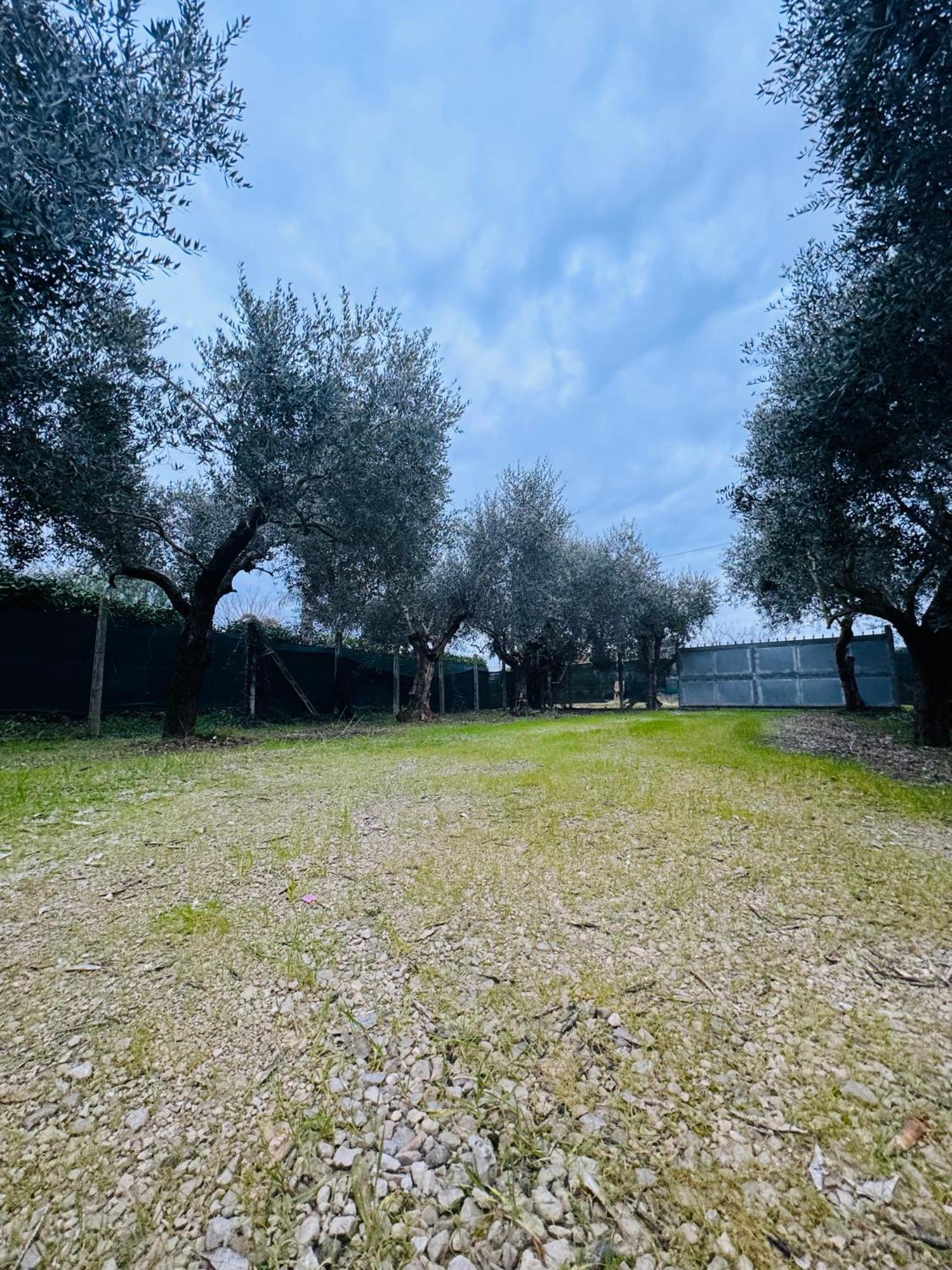 La Perla Di Dea Βίλα Lido Di Fondi Εξωτερικό φωτογραφία